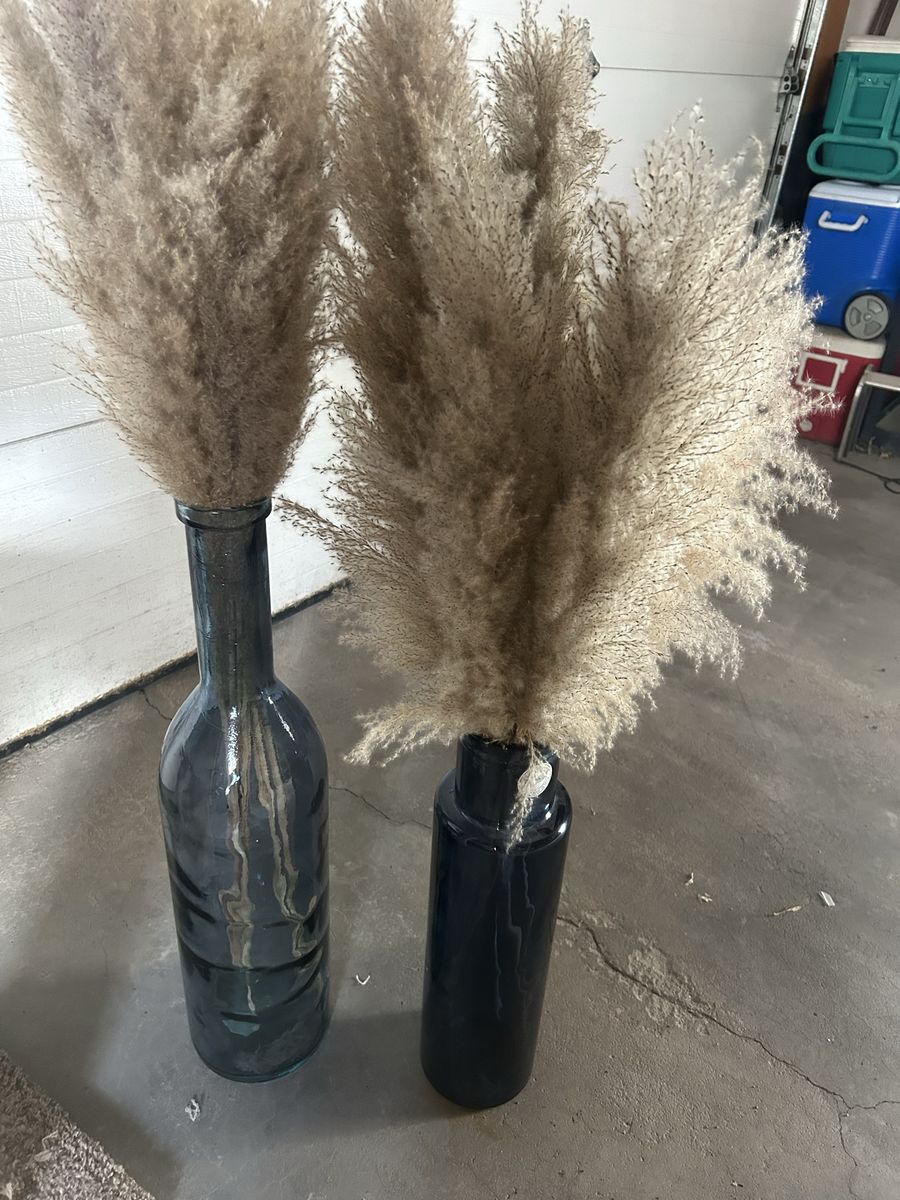 2 Decorative Vases with Pampas Grass - Blue/Black Glass Bottles, Unique Home Decor
