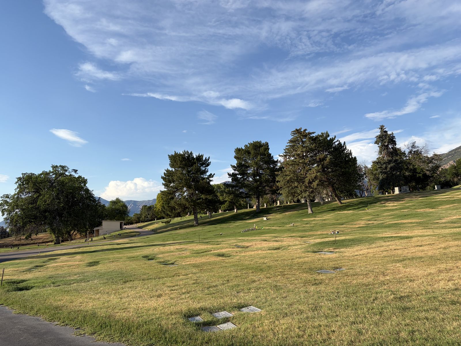 Main image 4