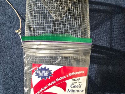 Minnow Trap - one year old