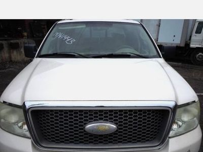 2004 to 2008 Ford f150 truck hood