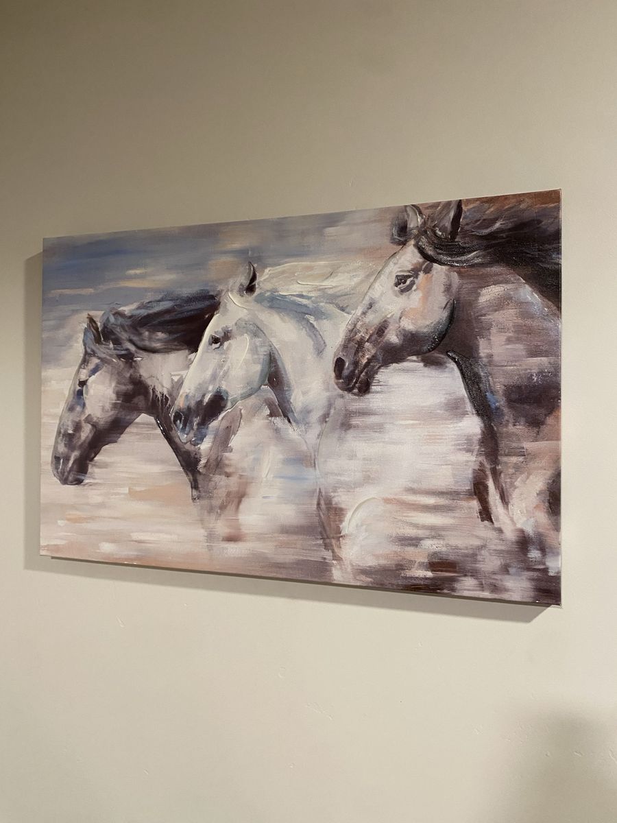 New Beautiful Horse Canvas