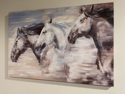New Beautiful Horse Canvas