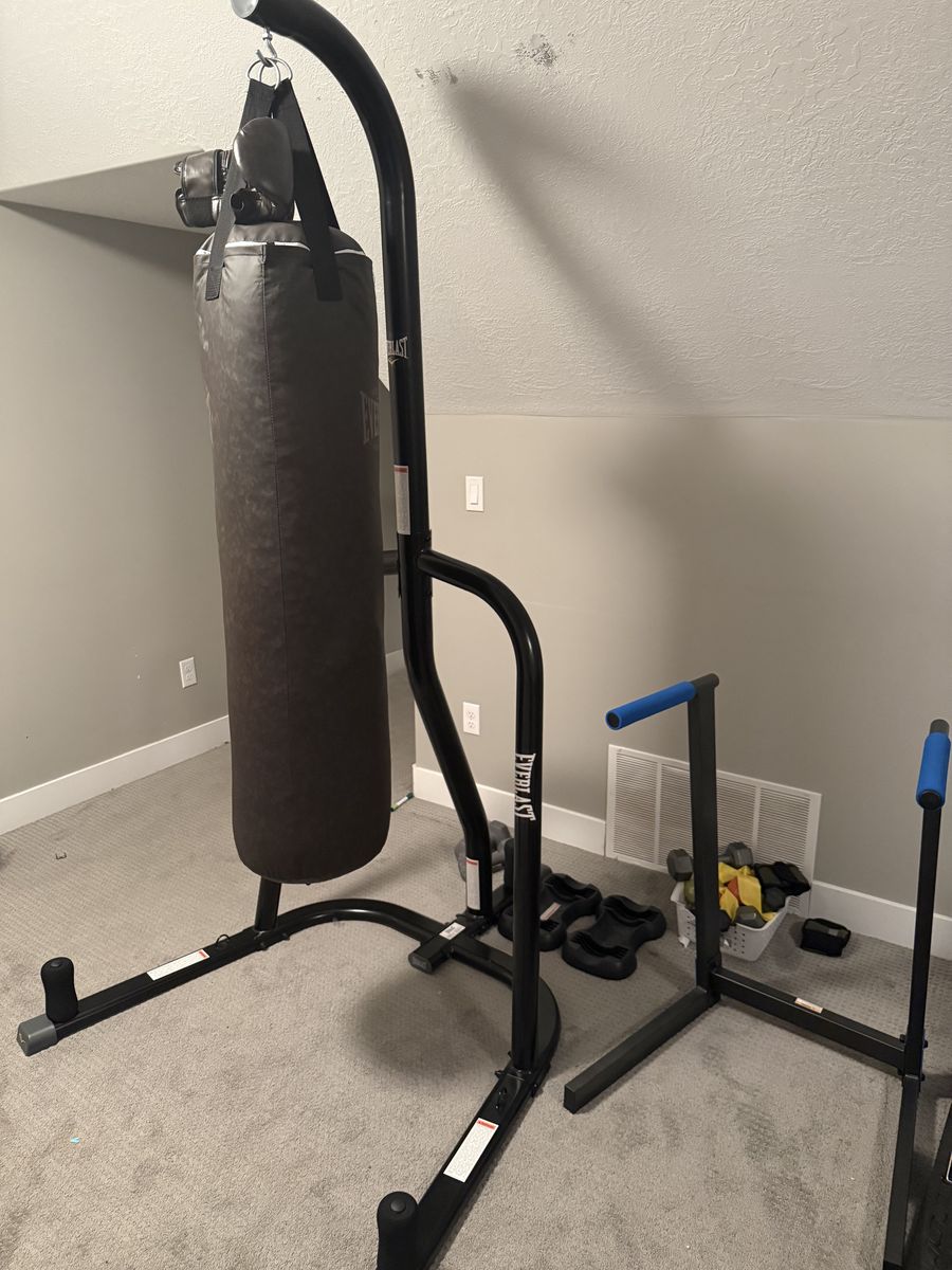 Everlast Punching Bag w/ Stand and Gloves