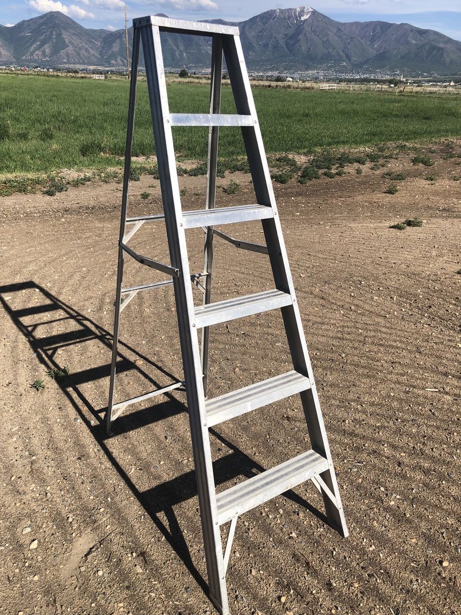 ‘6 ladder