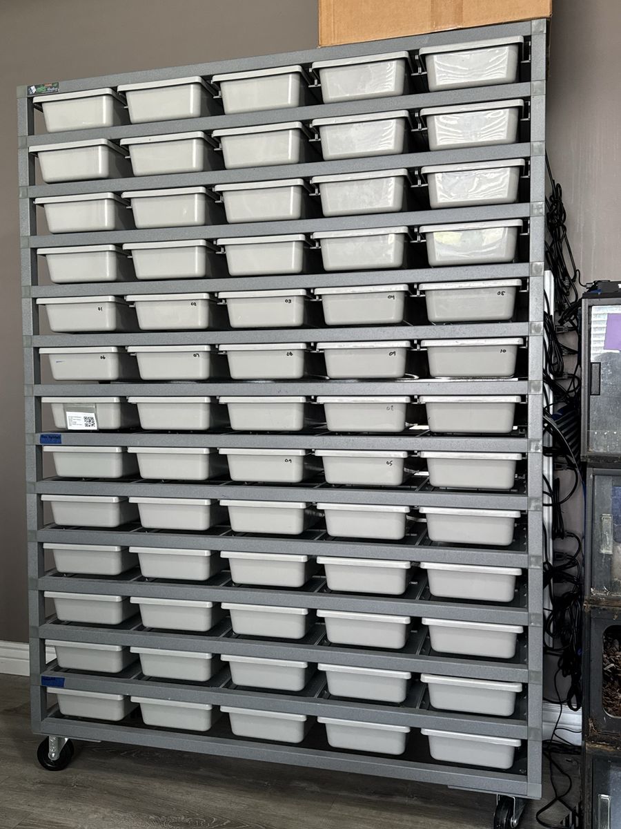 ARS 1065-Hybrid Hatchling Reptile System - 65 Tubs, 13 Levels, Casters, Heat Panels