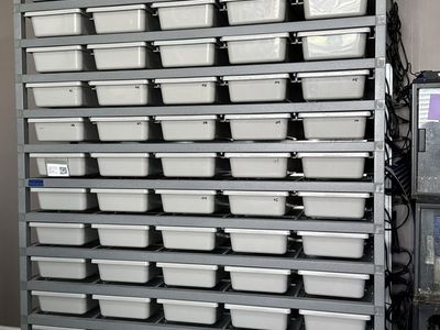 ARS 1065-Hybrid Hatchling Reptile System - 65 Tubs, 13 Levels, Casters, Heat Panels