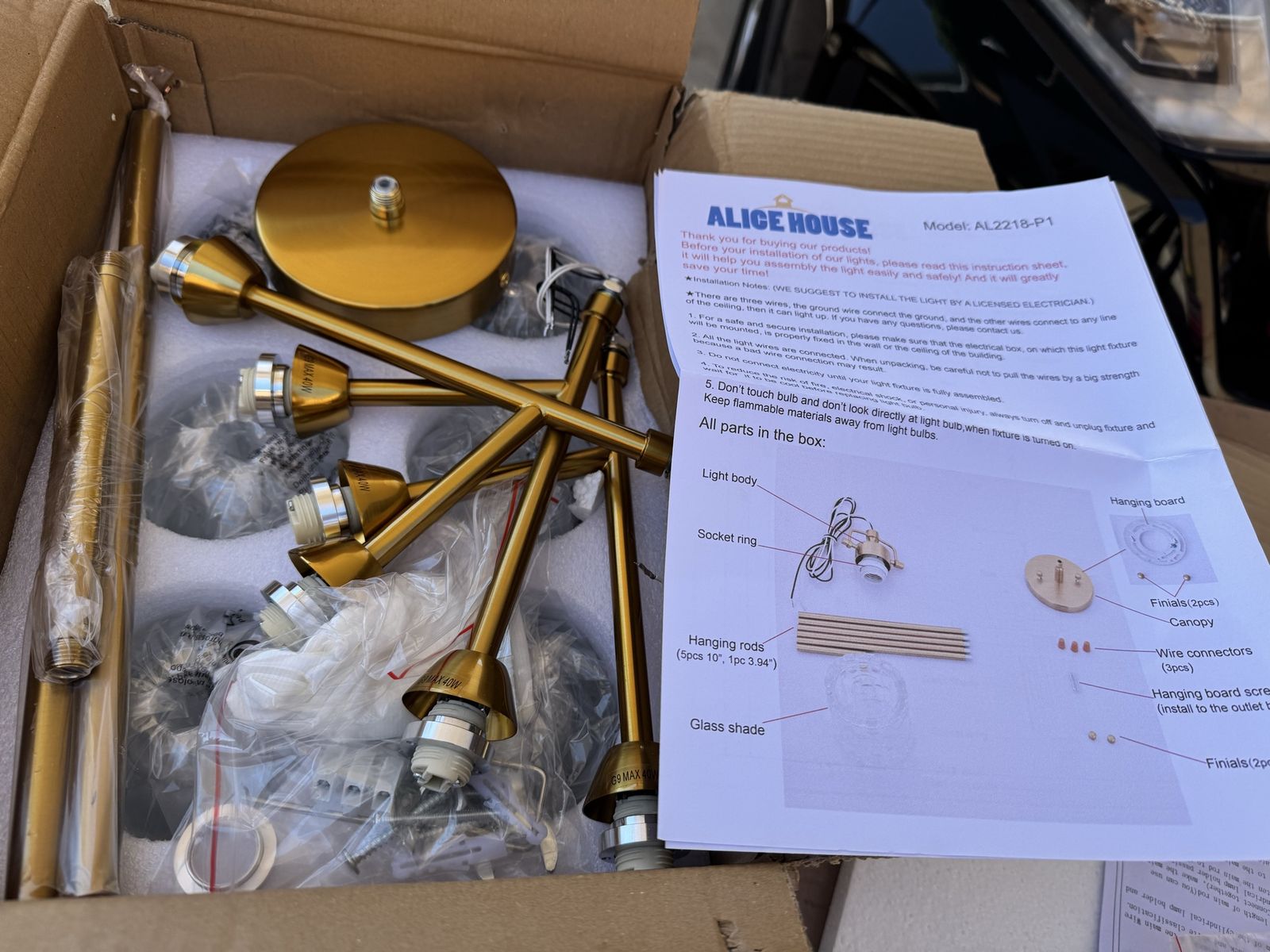 Alicia House New Gold Metal Ceiling Lamp