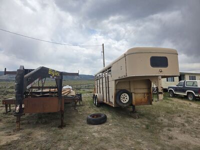 Logan coach stock trailer