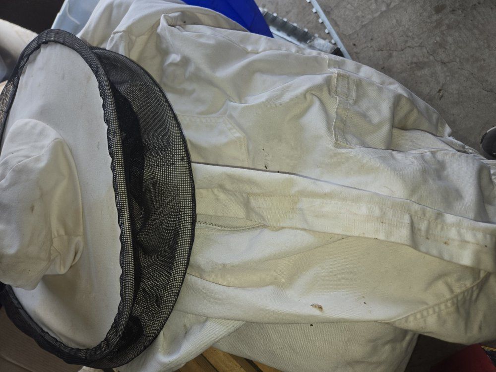 Main image 7