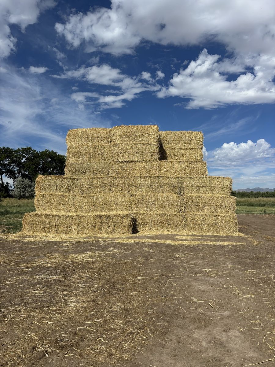 3x4x8 Bales of 3 Way for Livestock