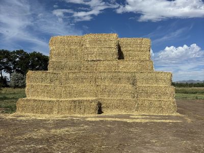 3x4x8 Bales of 3 Way for Livestock