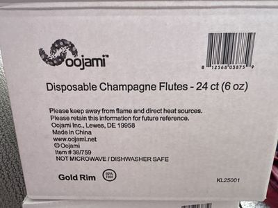Oojami Disposable Champagne Flutes