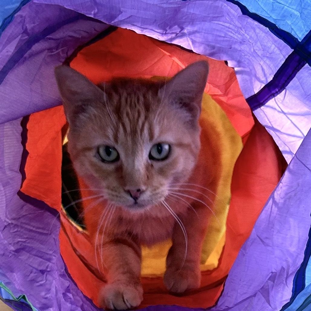 Hello my name is Sunday