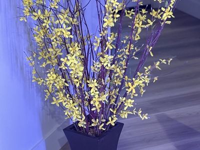 Faux Forsythia Arrangement — $40. Murray, UT