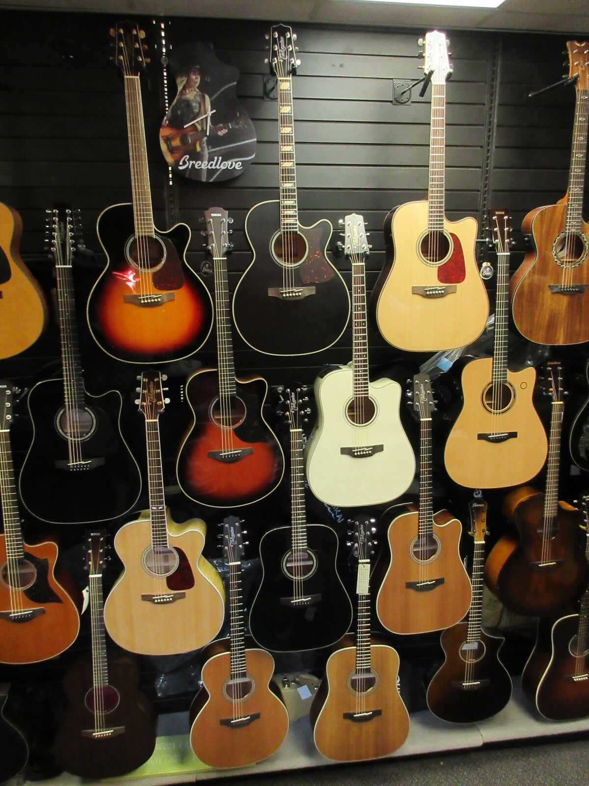 TAKAMINE ACOUSTIC GUITARS BACK IN STOCK