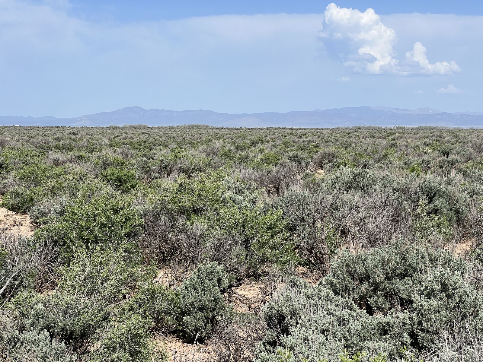 Land for sale by owner