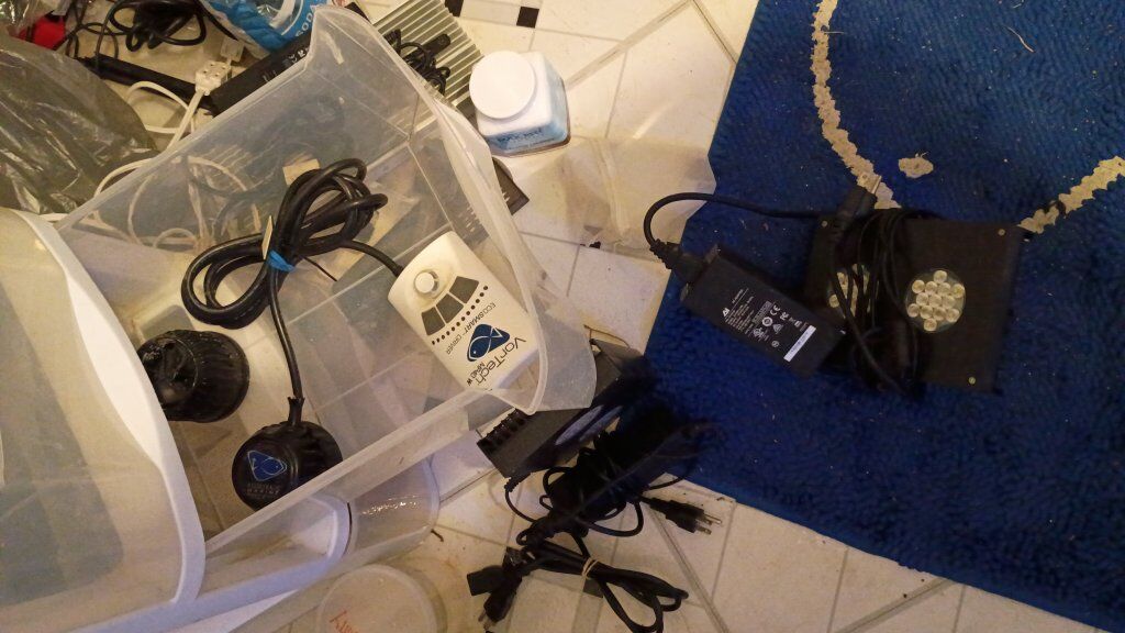 saltwater aquarium equipment reef