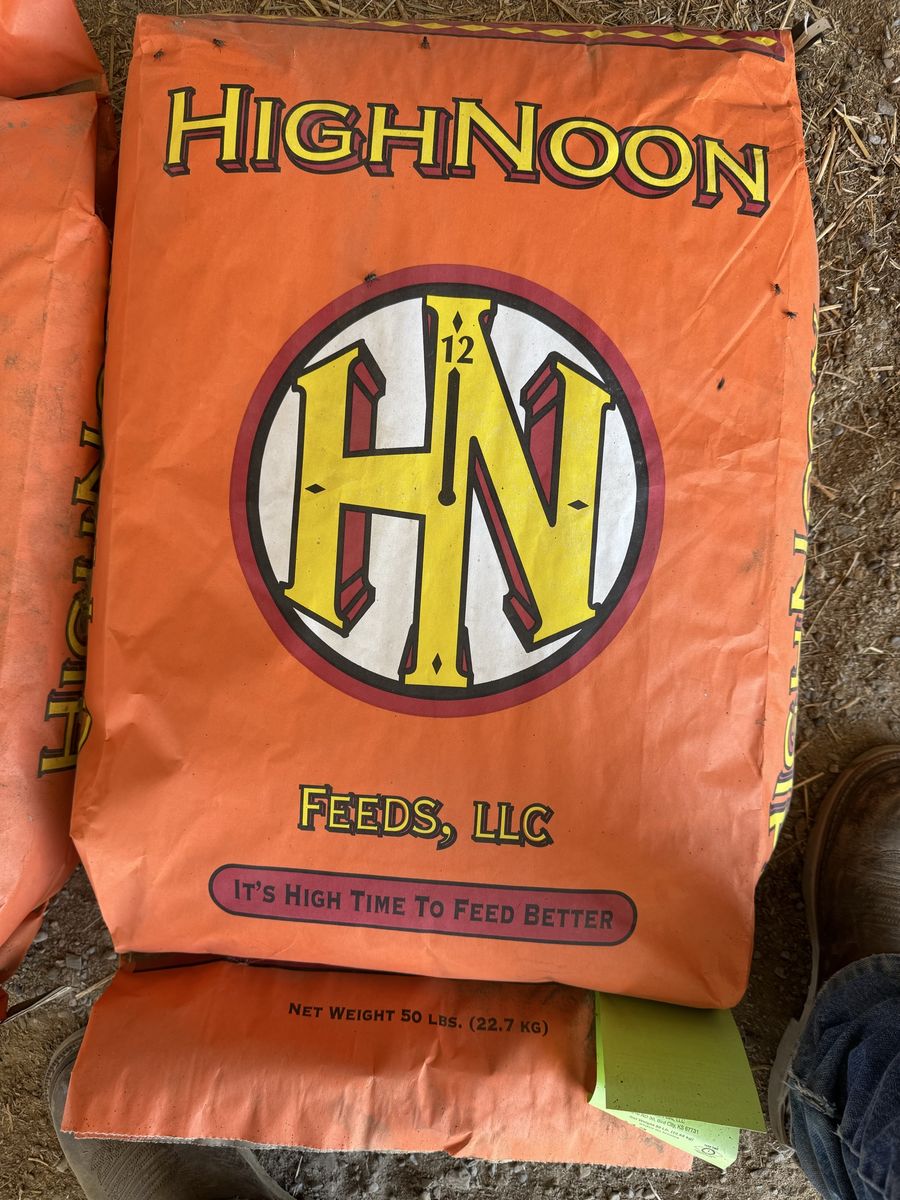 High Noon Lamb grain