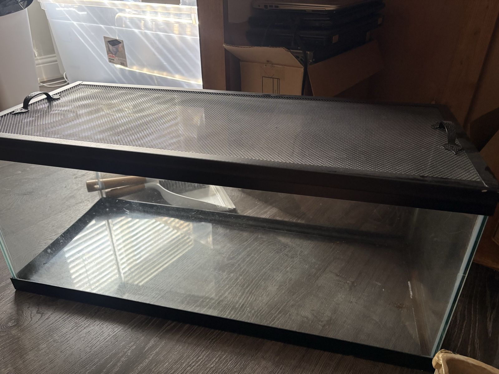 Glass Reptile Tank Terrarium with Mesh Screen Cover