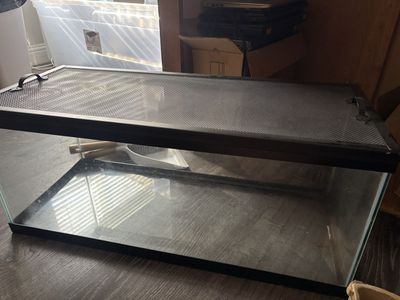 Glass Reptile Tank Terrarium with Mesh Screen Cover