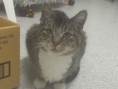 Hello my name is Amazon