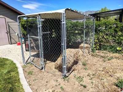 Dog Run - Dog Kennel