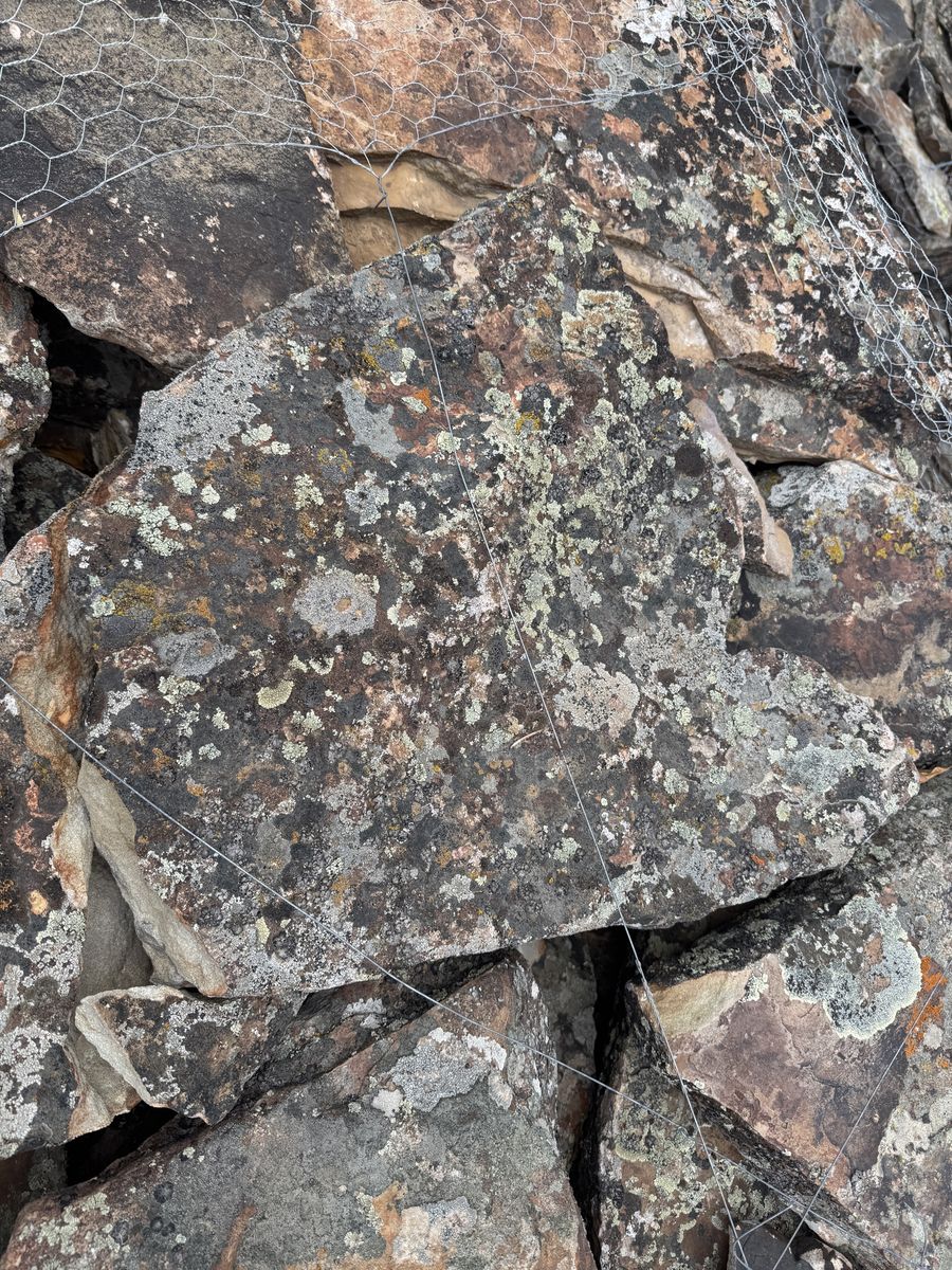 Main image 5