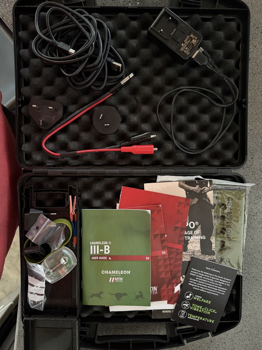 Main image 6
