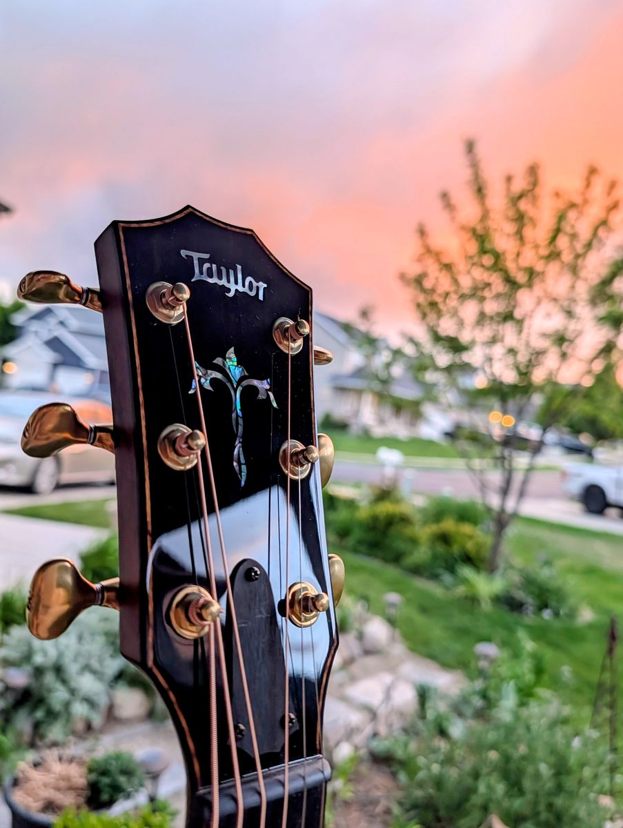 Taylor 914ce LTD Acoustic Electric Guitar