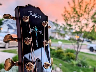Taylor 914ce LTD Acoustic Electric Guitar