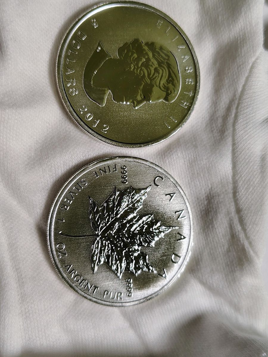 100 oz .9999 Silver Canadian Maple Leaf (25 oz year 2012 and 75 oz year 2013)
