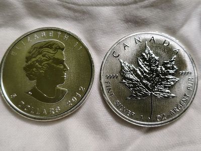 100 oz .9999 Silver Canadian Maple Leaf (25 oz year 2012 and 75 oz year 2013)