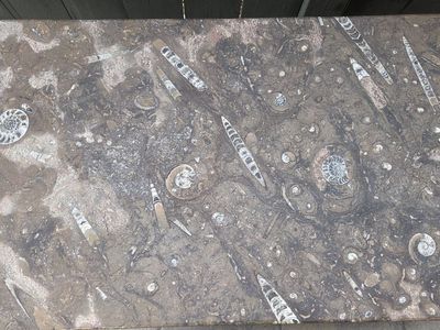 Moroccan Brown Fossil coffee table