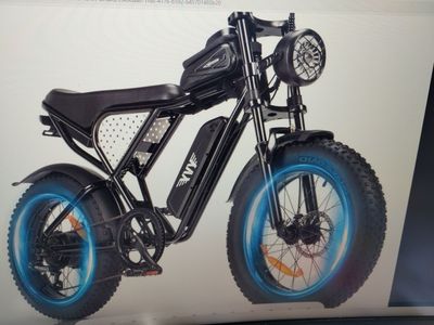 FAT TIRE E BIKE