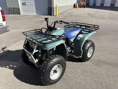 Yamaha Timberwolf 250