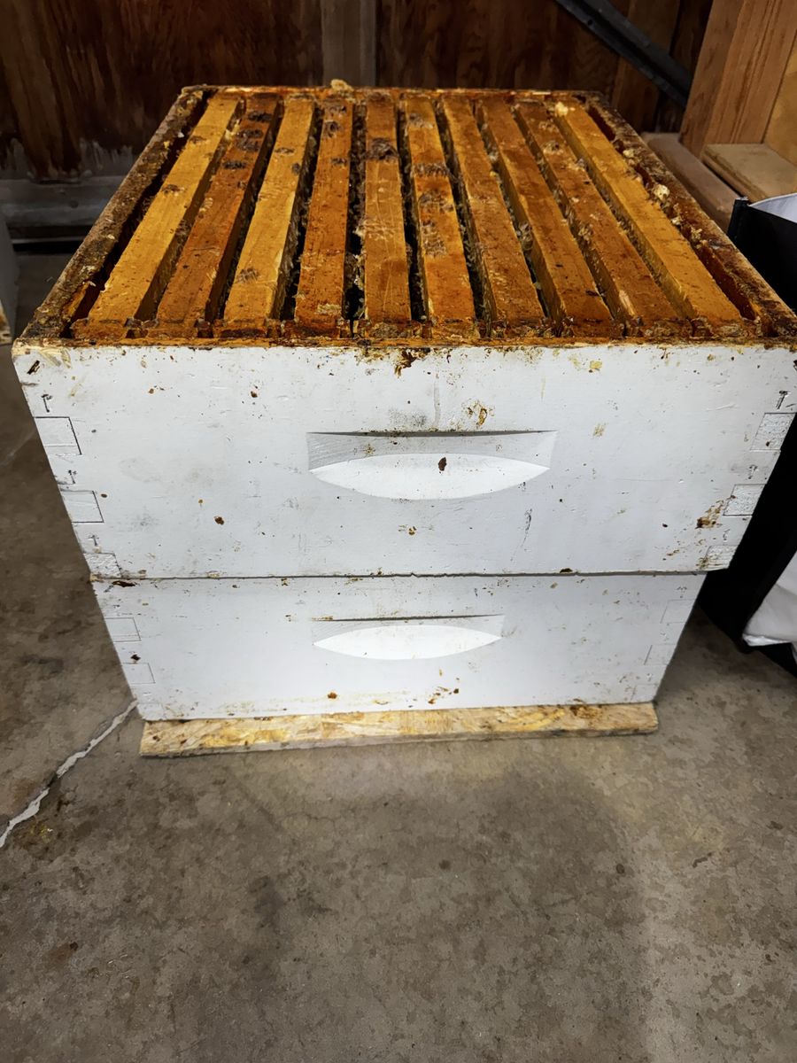 Main image 2