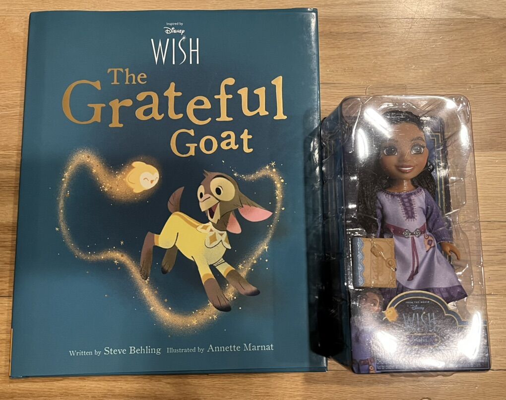 New Disney Wish Doll And Book