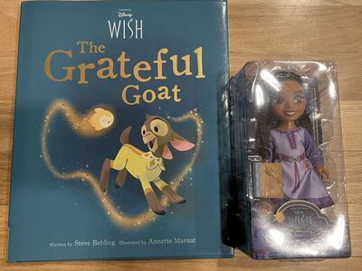 New Disney Wish Doll And Book