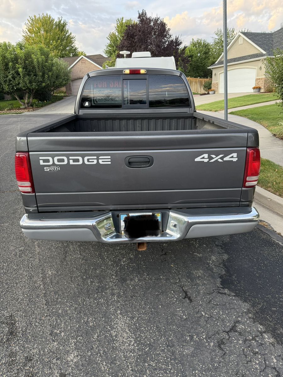 Main image 4