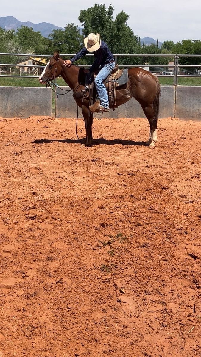 TRAINING SPOTS AVAILABLE!!!