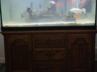 Large Aquarium Fish Tank with Wood Stand - Complete Setup for Goldfish or Similar Aquatic Pets