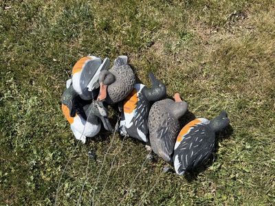 6 Higdon Shovelor Decoys