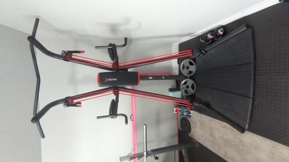 Weider X-Factor Pull up tower