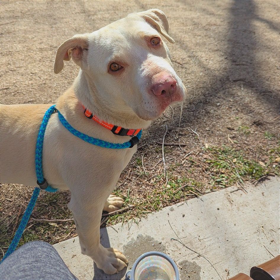 Hello my name is Daryl