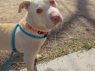 Hello my name is Daryl