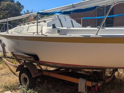 77 Laguna Windrose 22