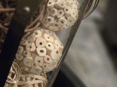 Decorative Vase Filler Potpourri Balls - Wicker and Wood Natural Neutral Home Decor