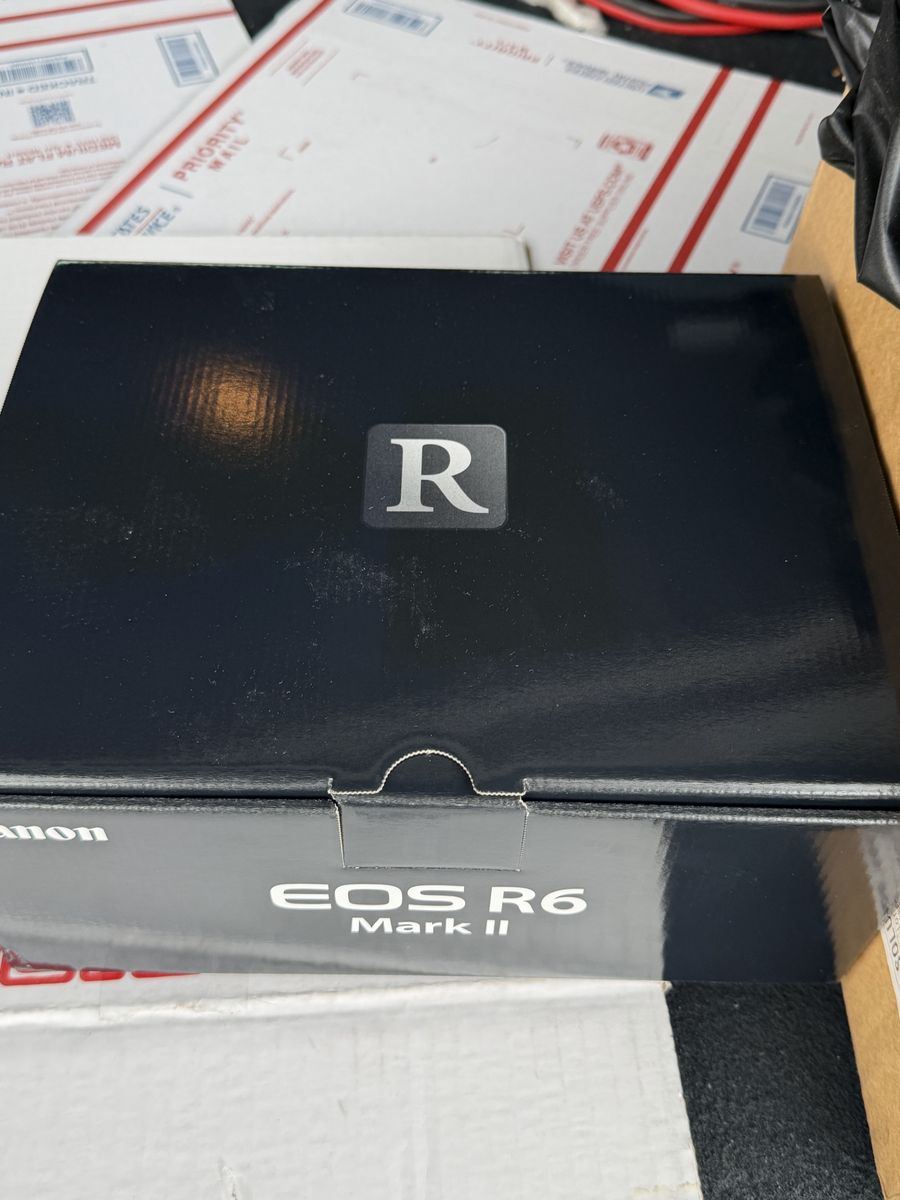 Canon r6 ii with lenses