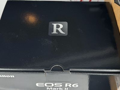 Canon r6 ii with lenses