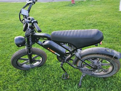 TAMOBYKE Electric Fat Tire Bike with LCD Display and Headlight